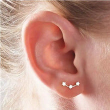 Load image into Gallery viewer, Cute Stud Earrings - MELLIROSE