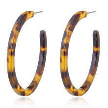 Load image into Gallery viewer, Vintage Leopard Round Hoop Earrings - MELLIROSE