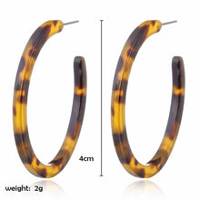 Load image into Gallery viewer, Vintage Leopard Round Hoop Earrings - MELLIROSE